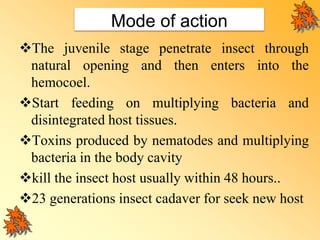 Role of Entomopethogenic bacteria and prospects | PPT