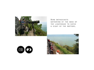 Bird enthusiasts
gathering at the base of
the lighthouse to catch
a sight of the raptors.
 