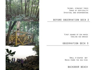 BEFORE OBSERVATION DECK 2
OBSERVATION DECK 3
BACKDOOR BEACH
Skinny, straight trees
Sense of verticality
Spiritual and overpowering
First sounds of sea waves
Cooling sea breeze
Small U-shaped bay
Rocks frame the sea view
 
