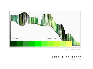 Longitudinal section
Tallest shortest
height of treeslandscape
 