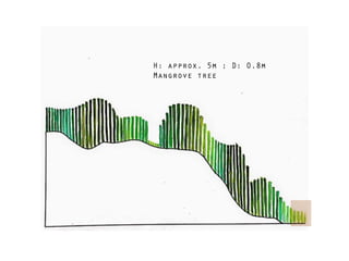 H: approx. 5m ; D: 0.8m
Mangrove tree
 