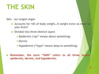 The Skin | PPTX