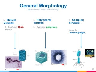 MYCOLOGY AND VIROLOGY FINALS LEC VIRUS DAY | PDF