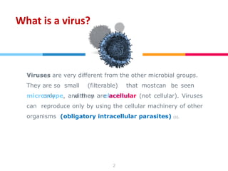 Filterable Virus MYCOLOGY AND VIROLOGY FINALS LEC VIRUS DAY | PDF