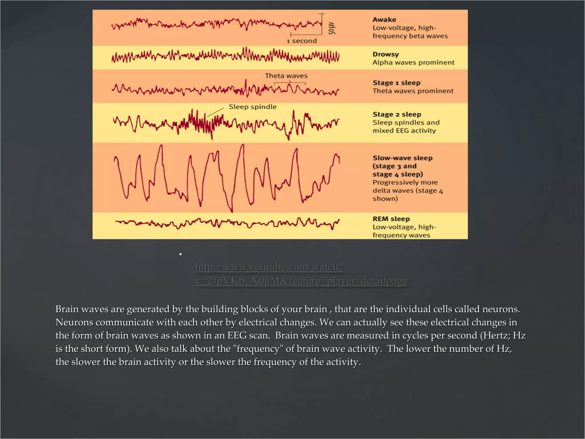 Brain waves are generated by the building blocks of your brain , that are the individual cells called neurons. Neurons communicate with each other by electrical changes. We can actually see these electrical changes in the form of brain waves as shown in an EEG scan.  Brain waves are measured in cycles per second (Hertz; Hz is the short form). We also talk about the &quot;frequency&quot; of brain wave activity.  The lower the number of Hz, the slower the brain activity or the slower the frequency of the activity. 
