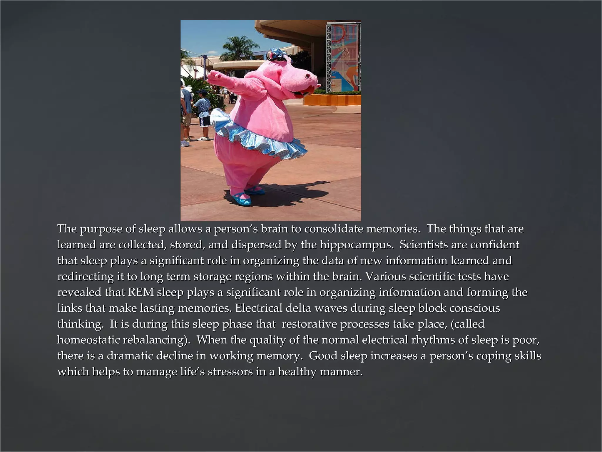 The purpose of sleep allows a person’s brain to consolidate memories.  The things that are learned are collected, stored, and dispersed by the hippocampus.  Scientists are confident that sleep plays a significant role in organizing the data of new information learned and redirecting it to long term storage regions within the brain. Various scientific tests have revealed that REM sleep plays a significant role in organizing information and forming the links that make lasting memories. Electrical delta waves during sleep block conscious thinking.  It is during this sleep phase that  restorative processes take place, (called homeostatic rebalancing).  When the quality of the normal electrical rhythms of sleep is poor, there is a dramatic decline in working memory.  Good sleep increases a person’s coping skills which helps to manage life’s stressors in a healthy manner. 
