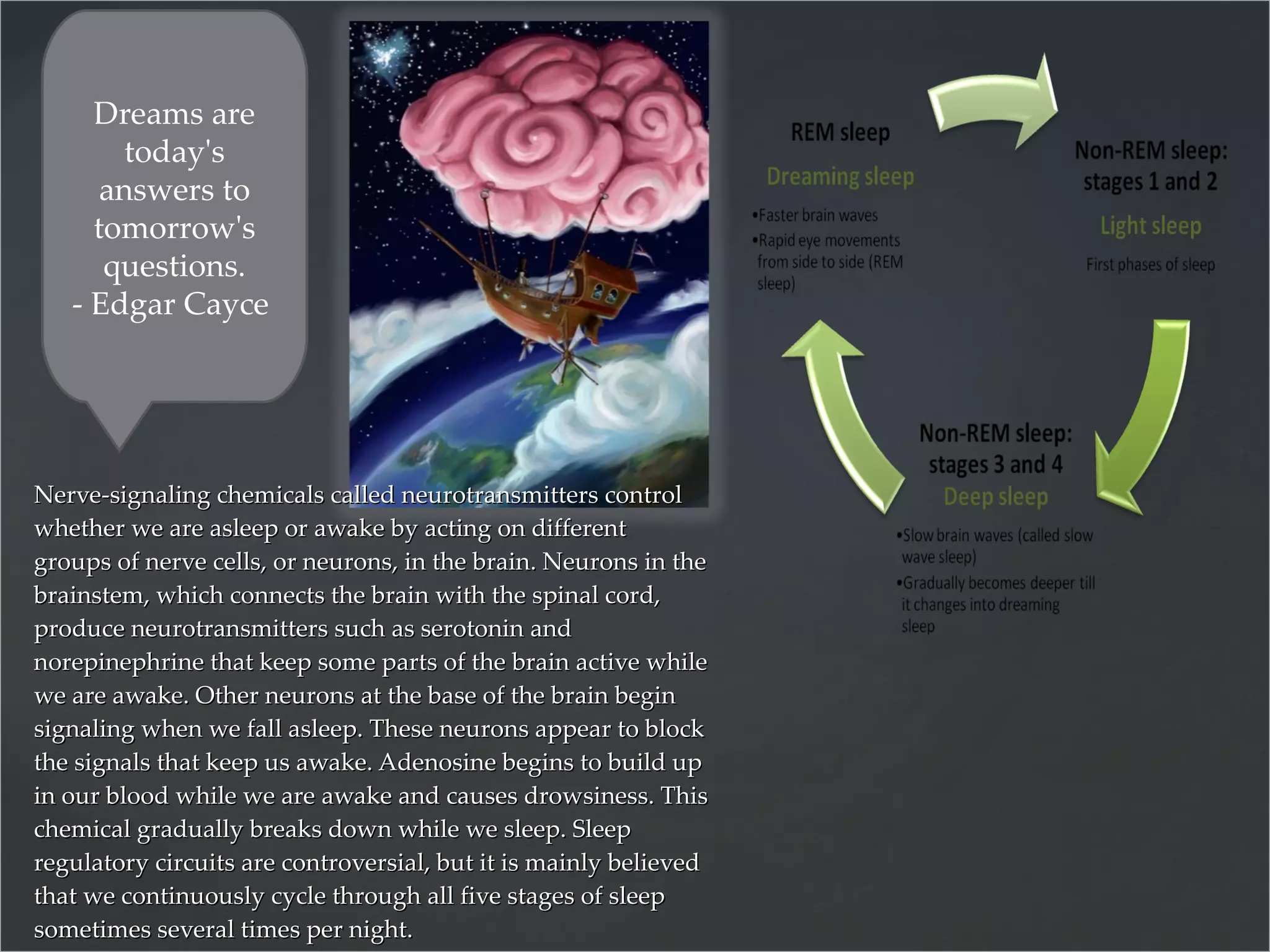 Nerve-signaling chemicals called neurotransmitters control whether we are asleep or awake by acting on different groups of nerve cells, or neurons, in the brain. Neurons in the brainstem, which connects the brain with the spinal cord, produce neurotransmitters such as serotonin and norepinephrine that keep some parts of the brain active while we are awake. Other neurons at the base of the brain begin signaling when we fall asleep. These neurons appear to block the signals that keep us awake. Adenosine begins to build up in our blood while we are awake and causes drowsiness. This chemical gradually breaks down while we sleep. Sleep regulatory circuits are controversial, but it is mainly believed that we continuously cycle through all five stages of sleep sometimes several times per night. Dreams are today's answers to tomorrow's questions. - Edgar Cayce  