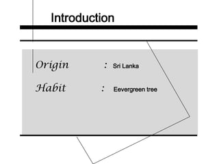 Introduction
Origin : Sri Lanka
Habit : Eevergreen tree
 