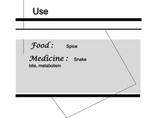 Use
Food : Spice
Medicine : Snake
bite, metabolism
 