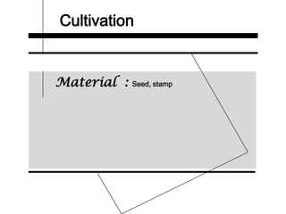 Cultivation
Material : Seed, stamp
 