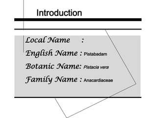 Introduction
Local Name :
English Name : Pistabadam
Botanic Name: Pistacia vera
Family Name : Anacardiaceae
 