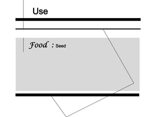 Use
Food : Seed
 