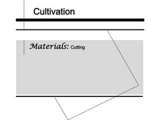 Cultivation
Materials: Cutting
 