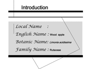 Introduction
Local Name :
English Name : Wood apple
Botanic Name: Limonia acidissima
Family Name : Rutaceae
 