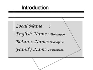 Introduction
Local Name :
English Name : Black pepper
Botanic Name: Piper nigrum
Family Name : Piperaceae
 
