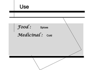 Use
Food : Spices
Medicinal : Cold
 
