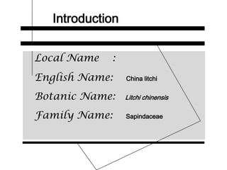 Introduction
Local Name :
English Name: China litchi
Botanic Name: Litchi chinensis
Family Name: Sapindaceae
 