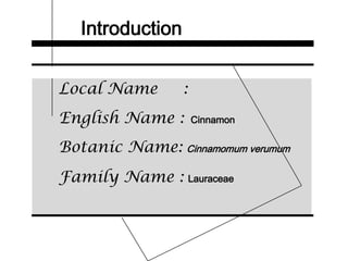 Introduction
Local Name :
English Name : Cinnamon
Botanic Name: Cinnamomum verumum
Family Name : Lauraceae
 