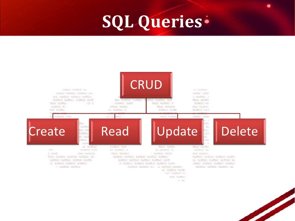 SQL Basics