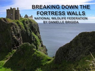Breaking Down the Fortress WallsNational Wildlife Federationby Danielle Brigida<br />Photo by macieklew<br />