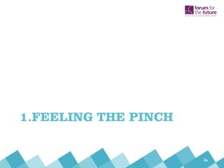 1.FEELING THE PINCH
16
 
