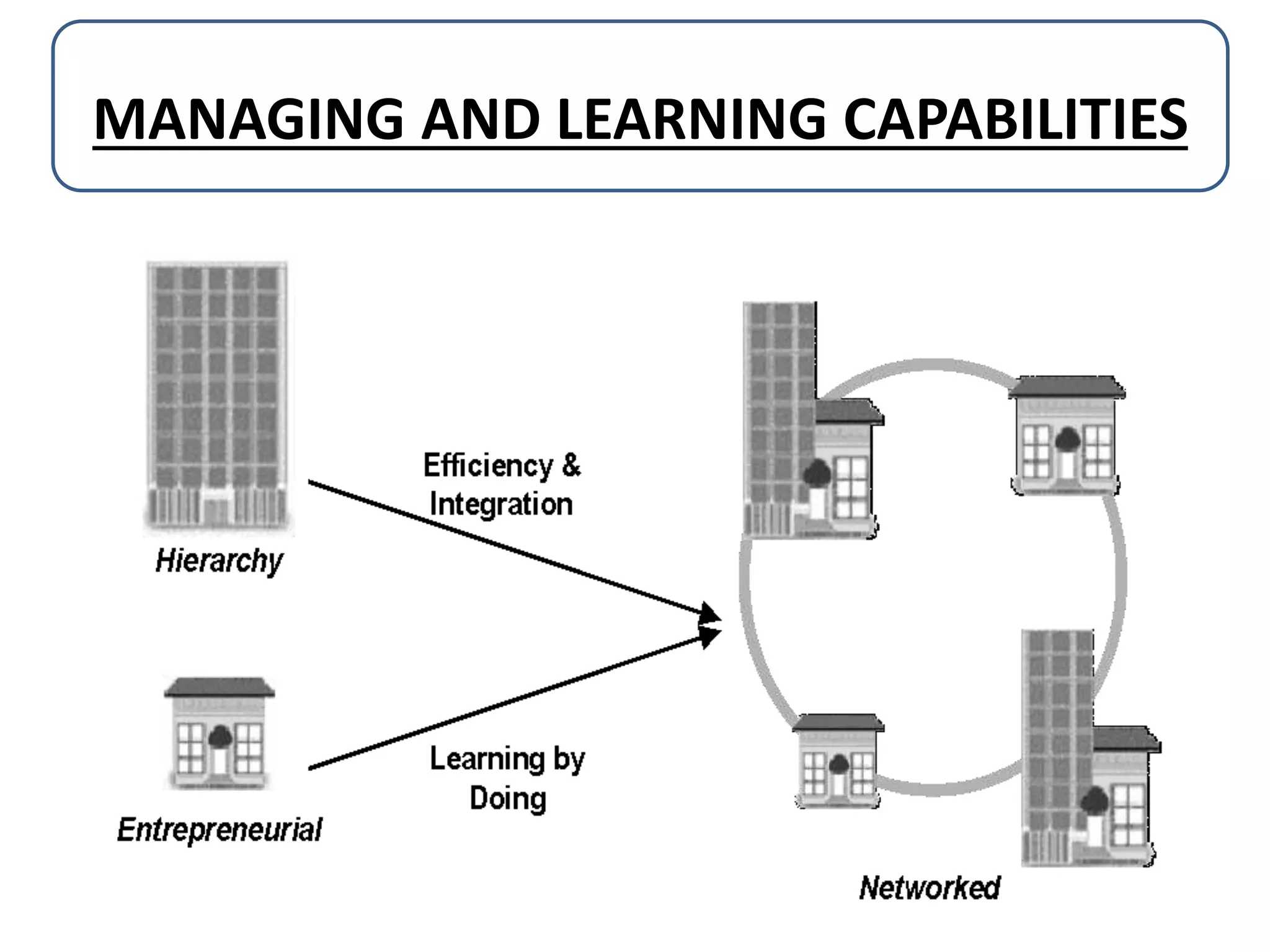 MANAGING AND LEARNING CAPABILITIES

 