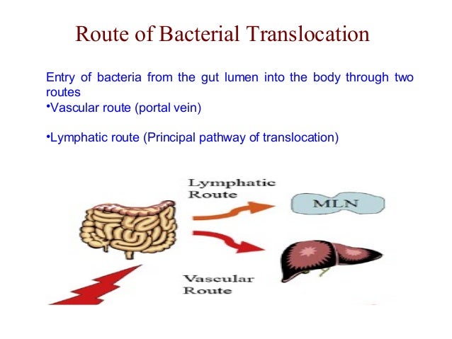Final slides today 5 feb 13