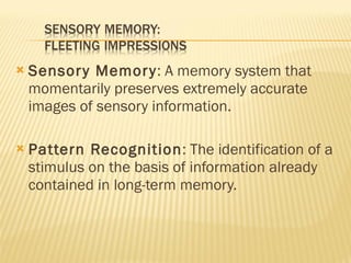 Stimuli Memory Memory | PPT