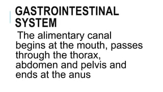 GASTROINTESTINAL
SYSTEM
The alimentary canal
begins at the mouth, passes
through the thorax,
abdomen and pelvis and
ends at the anus
 