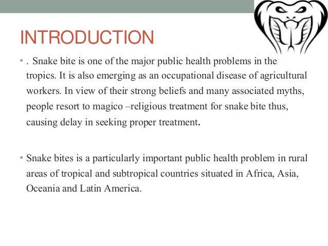 Snake bite treatments picture