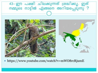 43– ഈ പക്ഷി ിലക്കുന്നത് ശ്രദ്ധിക്കൂ. ഇത്
നമ്മുളെ നാട്ടിൽ എങ്ങളന അറിയളെെുന്നു ?
 https://www.youtube.com/watch?v=mWO8rcRjumE
 