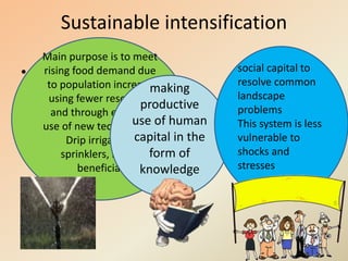 Human Intensification Intensified Agriculture and its Merits and Demerits | PPTX
