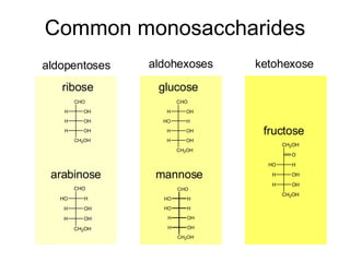 Common monosaccharides   aldopentoses aldohexoses ketohexose glucose mannose ribose arabinose fructose 