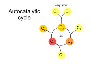 Autocatalytic cycle C 2 C 2 C 3 C 4 C 1 C 1 C 1 C 1 very slow fast 