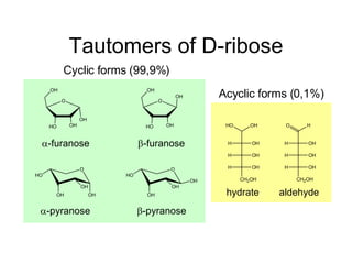 Tautomers of D-ribose Cyclic forms (99,9%) Acyclic forms (0,1%)  -furanose  -furanose  -pyranose  -pyranose hydrate aldehyde 