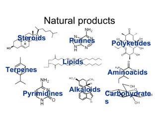 Natural products Aminoacids Steroids Terpenes Lipids Purines Polyketides Carbohydrates Alkaloids Pyrimidines 