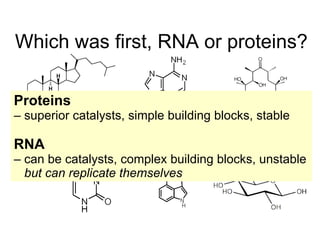 Which was first, RNA or proteins? Proteins –  superior catalysts, simple building blocks, stable RNA –  can be catalysts, complex building blocks, unstable but can replicate themselves  