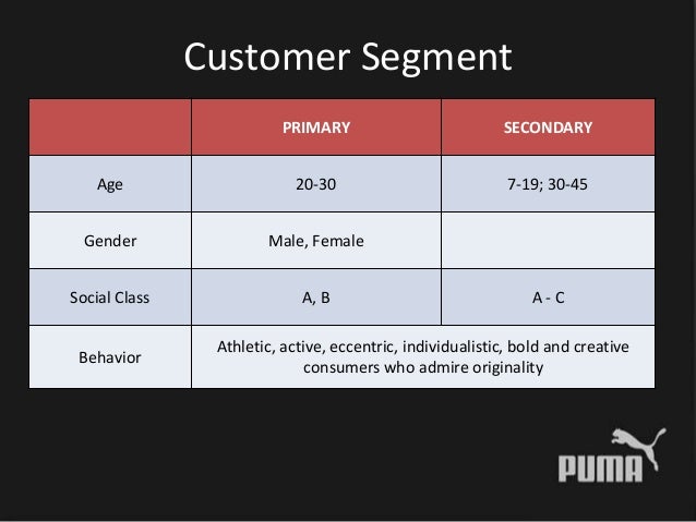 puma consumer demographics