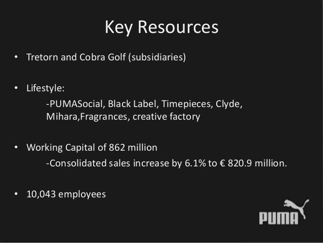 puma resources