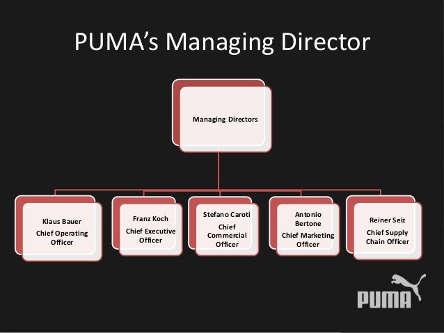 puma organizational chart off 63% - www 
