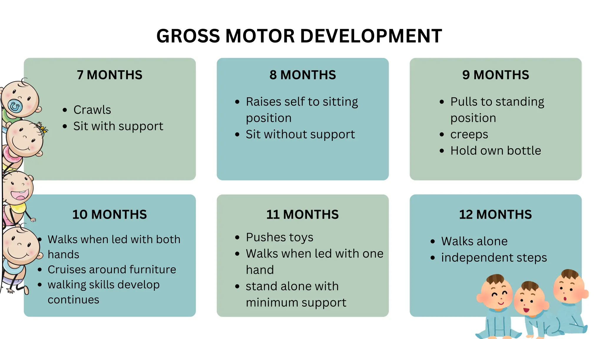 GROSS MOTOR DEVELOPMENT
7 MONTHS 8 MONTHS 9 MONTHS
12 MONTHS
11 MONTHS
10 MONTHS
Crawls
Sit with support
Raises self to sitting
position
Sit without support
Pulls to standing
position
creeps
Hold own bottle
Walks when led with both
hands
Cruises around furniture
walking skills develop
continues
Pushes toys
Walks when led with one
hand
stand alone with
minimum support
Walks alone
independent steps
 