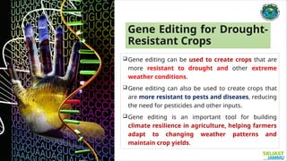 Final Strategies for climate resilient horticulture-.pptx