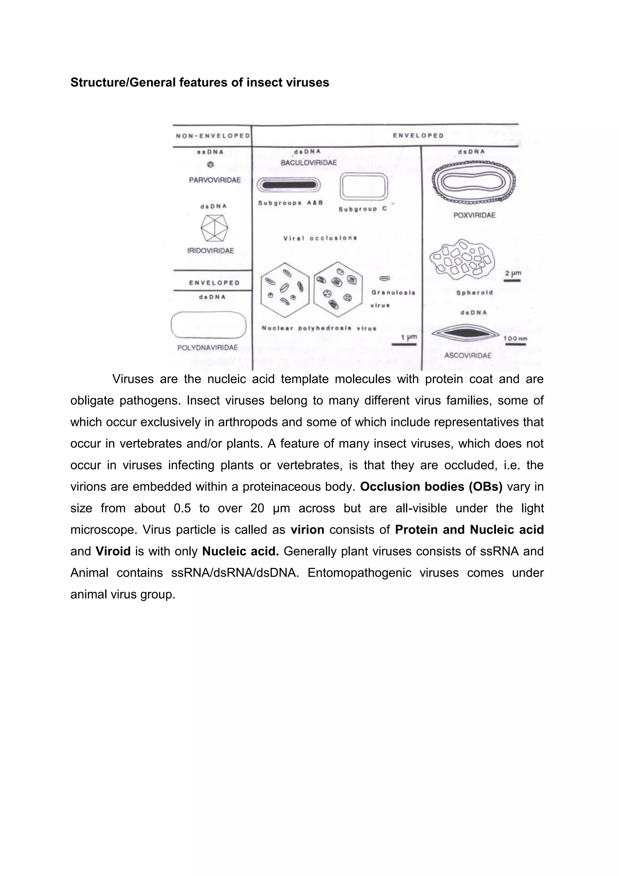 Structure/General features of insect viruses
Viruses are the nucleic acid template molecules with protein coat and are
obligate pathogens. Insect viruses belong to many different virus families, some of
which occur exclusively in arthropods and some of which include representatives that
occur in vertebrates and/or plants. A feature of many insect viruses, which does not
occur in viruses infecting plants or vertebrates, is that they are occluded, i.e. the
virions are embedded within a proteinaceous body. Occlusion bodies (OBs) vary in
size from about 0.5 to over 20 µm across but are all-visible under the light
microscope. Virus particle is called as virion consists of Protein and Nucleic acid
and Viroid is with only Nucleic acid. Generally plant viruses consists of ssRNA and
Animal contains ssRNA/dsRNA/dsDNA. Entomopathogenic viruses comes under
animal virus group.
 
