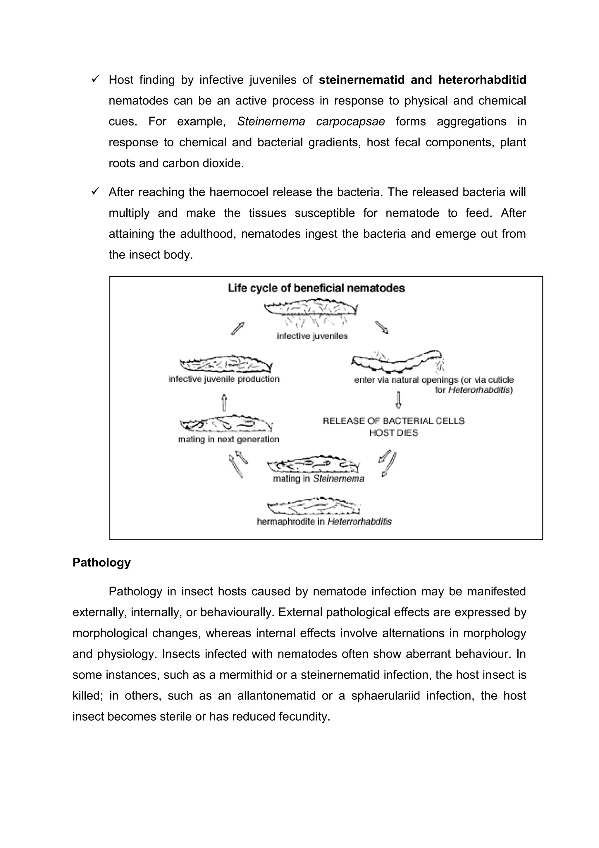  Host finding by infective juveniles of steinernematid and heterorhabditid
nematodes can be an active process in response to physical and chemical
cues. For example, Steinernema carpocapsae forms aggregations in
response to chemical and bacterial gradients, host fecal components, plant
roots and carbon dioxide.
 After reaching the haemocoel release the bacteria. The released bacteria will
multiply and make the tissues susceptible for nematode to feed. After
attaining the adulthood, nematodes ingest the bacteria and emerge out from
the insect body.
Pathology
Pathology in insect hosts caused by nematode infection may be manifested
externally, internally, or behaviourally. External pathological effects are expressed by
morphological changes, whereas internal effects involve alternations in morphology
and physiology. Insects infected with nematodes often show aberrant behaviour. In
some instances, such as a mermithid or a steinernematid infection, the host insect is
killed; in others, such as an allantonematid or a sphaerulariid infection, the host
insect becomes sterile or has reduced fecundity.
 