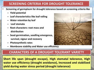SCREENING CRITERIA FOR DROUGHT TOLERANCE
• Screening of germplasm for drought tolerance based on screening criteria like
–...