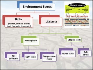 Environment Stress
Biotic
(Human, animals, insects
fungi , bacteria, viruses etc.)
Abiotic
Atmospheric
Air
pollution
Light...