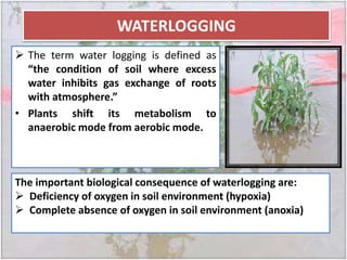 WATERLOGGING
 The term water logging is defined as
“the condition of soil where excess
water inhibits gas exchange of roo...