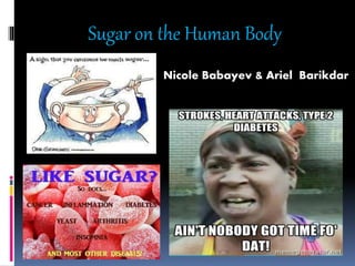 Sugar on the Human Body
Nicole Babayev & Ariel Barikdar
 