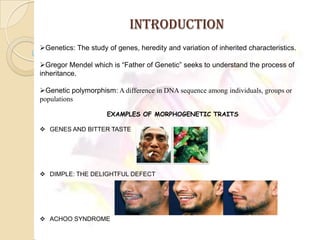 Morphogenetic traits | PPTX