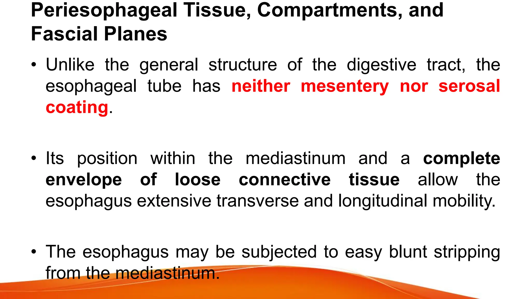 Periesophageal Tissue, Compartments, and
Fascial Planes
• Unlike the general structure of the digestive tract, the
esophageal tube has neither mesentery nor serosal
coating.
• Its position within the mediastinum and a complete
envelope of loose connective tissue allow the
esophagus extensive transverse and longitudinal mobility.
• The esophagus may be subjected to easy blunt stripping
from the mediastinum.
 